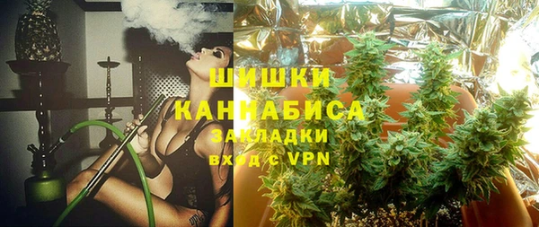 ПСИЛОЦИБИНОВЫЕ ГРИБЫ Гусиноозёрск